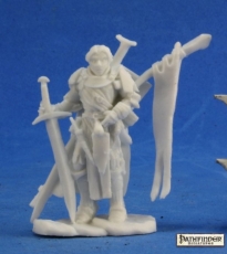 Alain Human Fighter