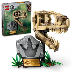 Fsiles de Dinosaurio: Crneo de T. rex