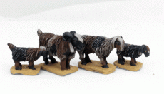 Middle Eastern Goats (4)